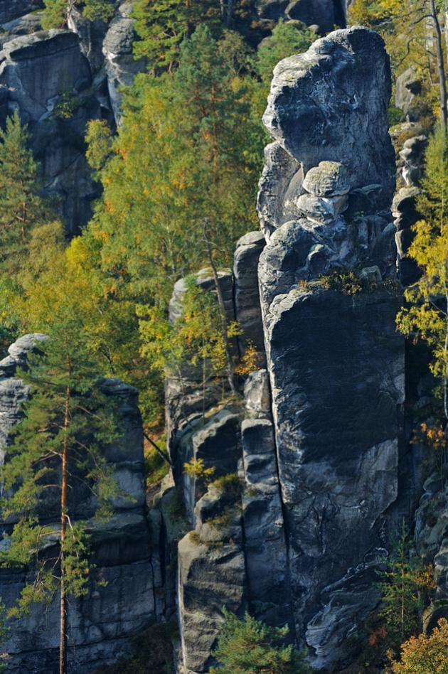 Elbe3