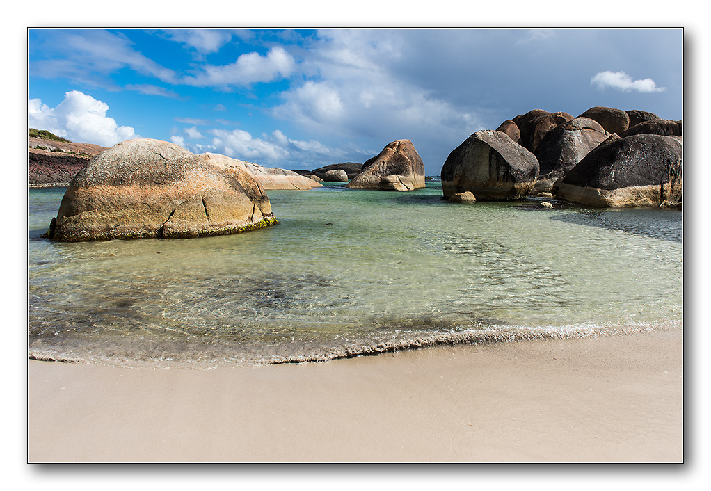 elephant beach2