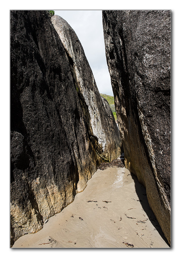 elephant beach4