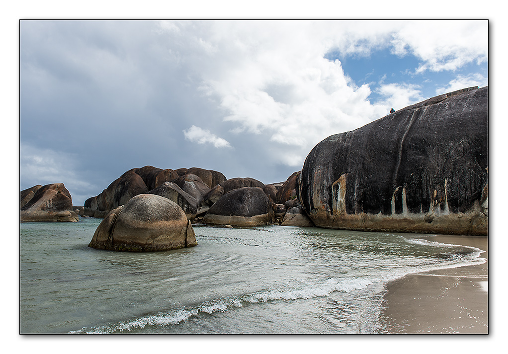 elephant beach5