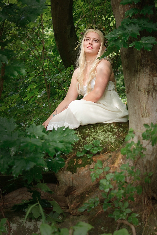 Elfe IV