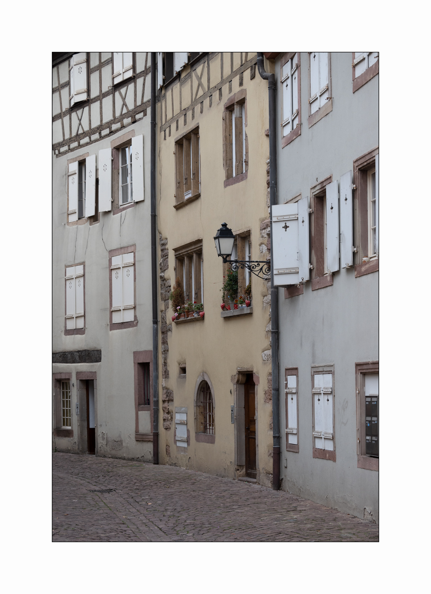 ElsassDSC_0945.jpg