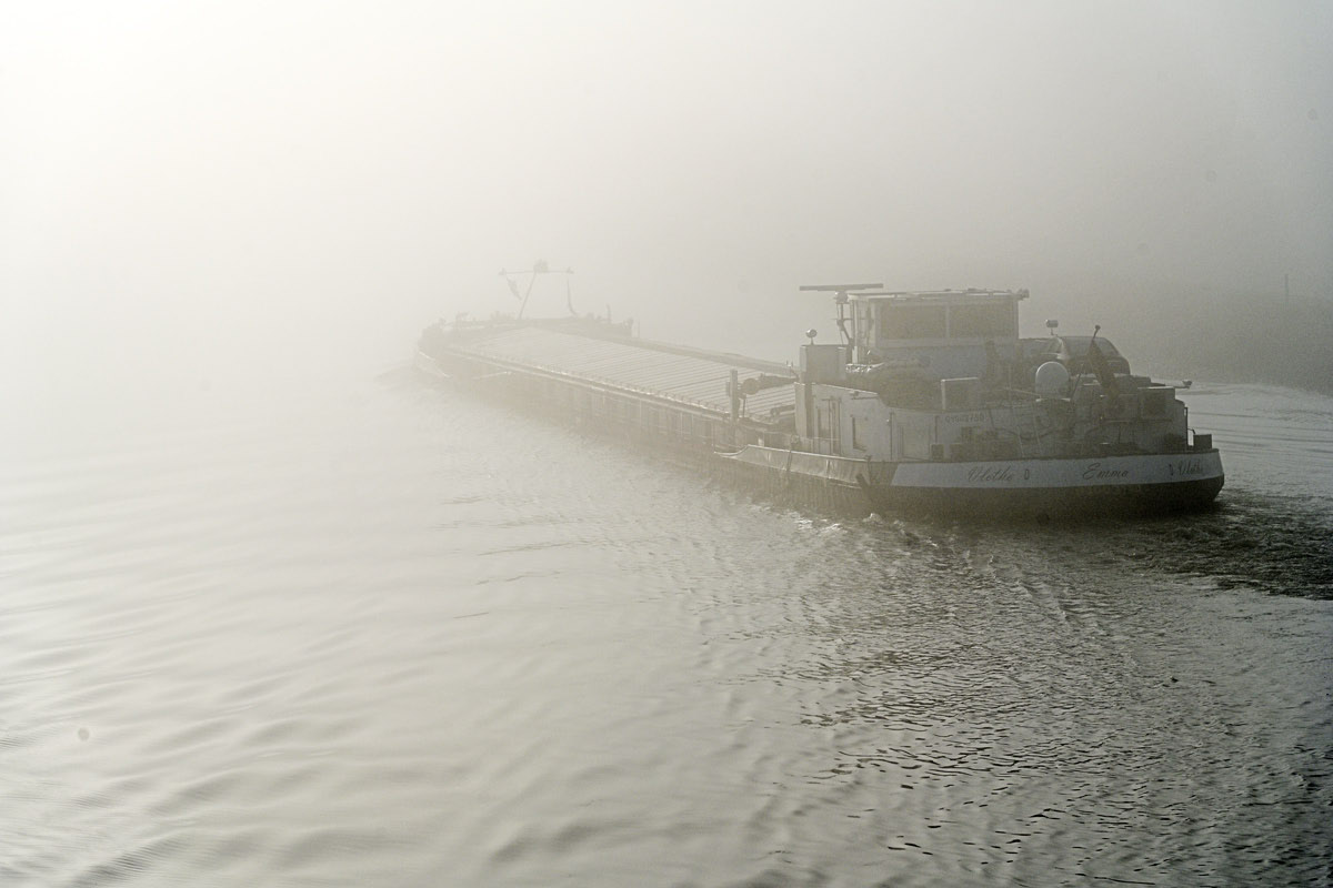 Emma im Nebel 2.jpg