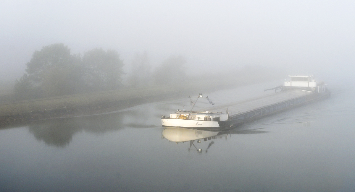 Emma im Nebel.jpg