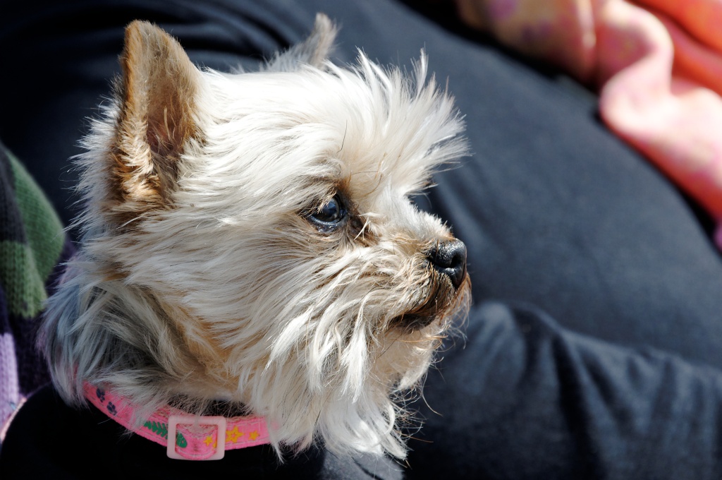 emmie im profil