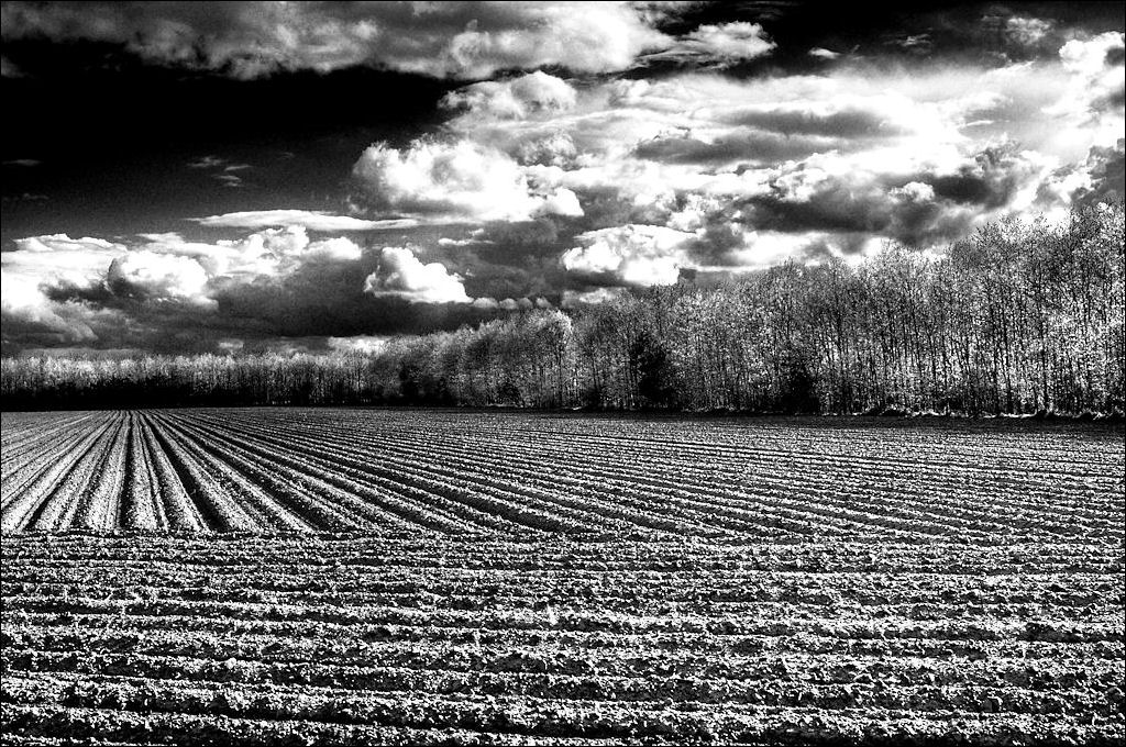 Emsland 05 / 2008