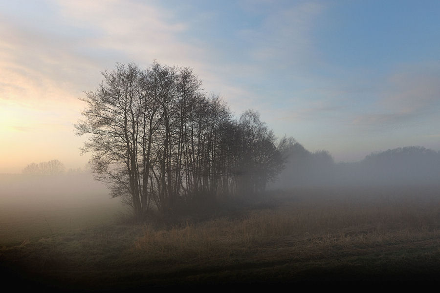 Emslandnebel 4