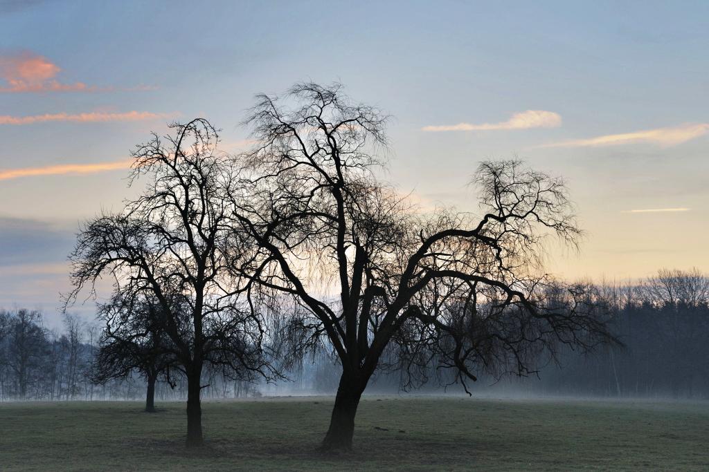 Emslandnebel 6