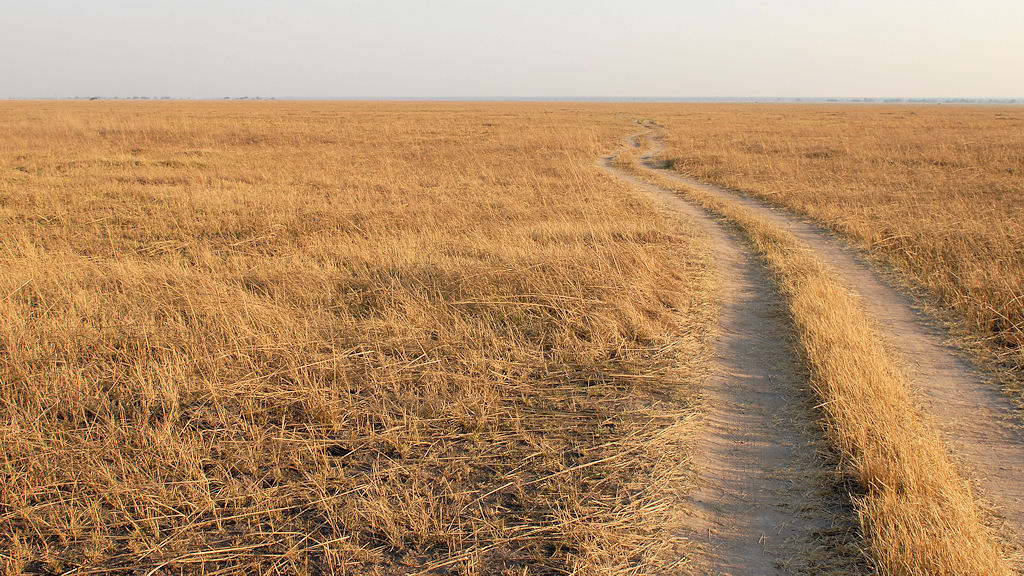 Endlose Grasflächen in den Busanga Plains
im Norden des Kafue Nationalparks
2657