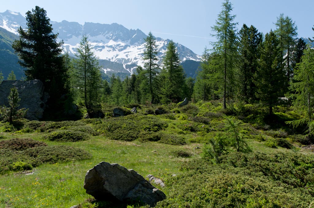 Engadin 10