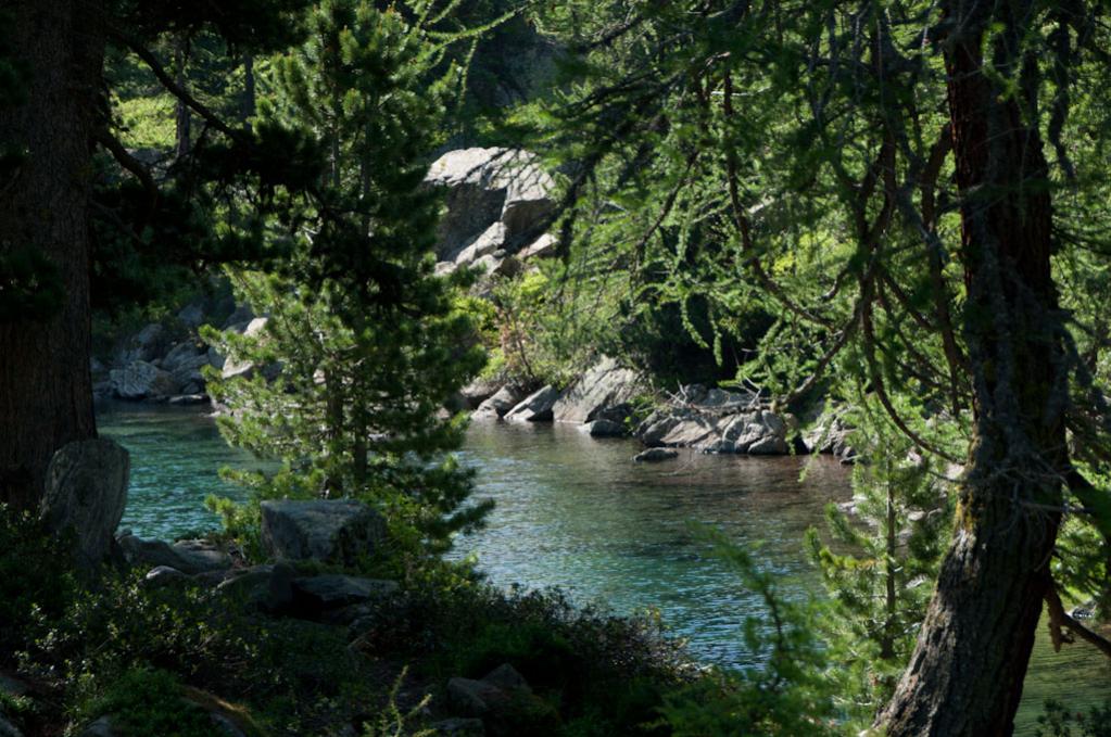 Engadin 11