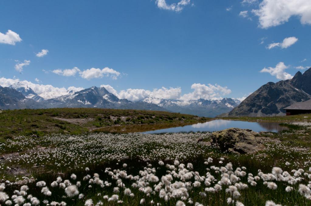 Engadin 21