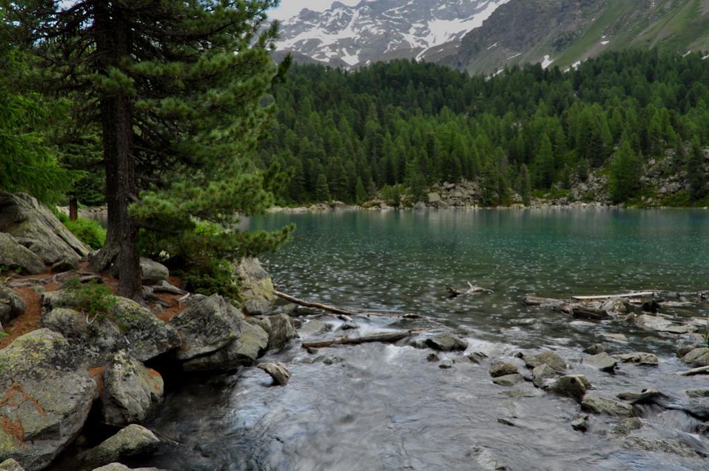 Engadin 3