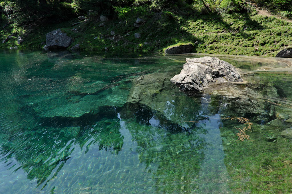 Engadin 8