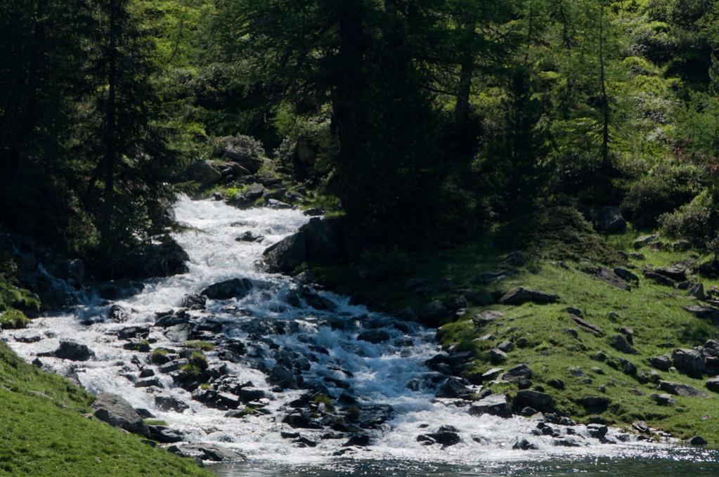 Engadin 9