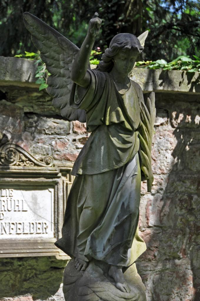 Engel1