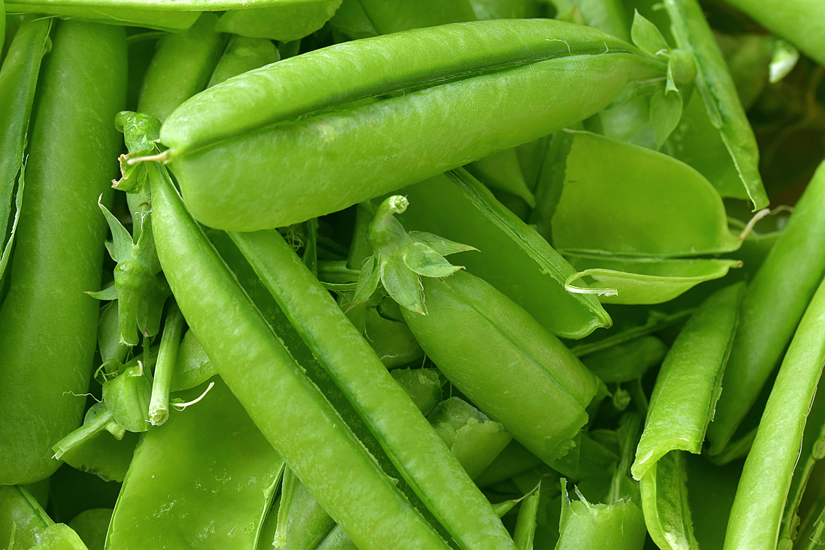 Erbsenschalen1