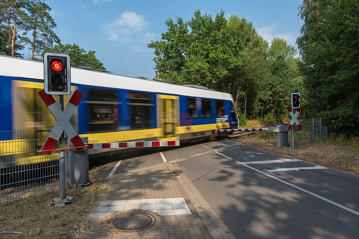 Erix (1 von 1).JPG