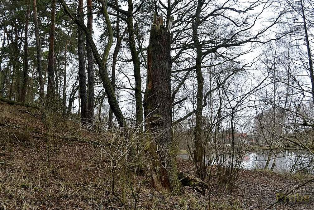 Erlebnis 6 alles ist ein Kommen und Gehen