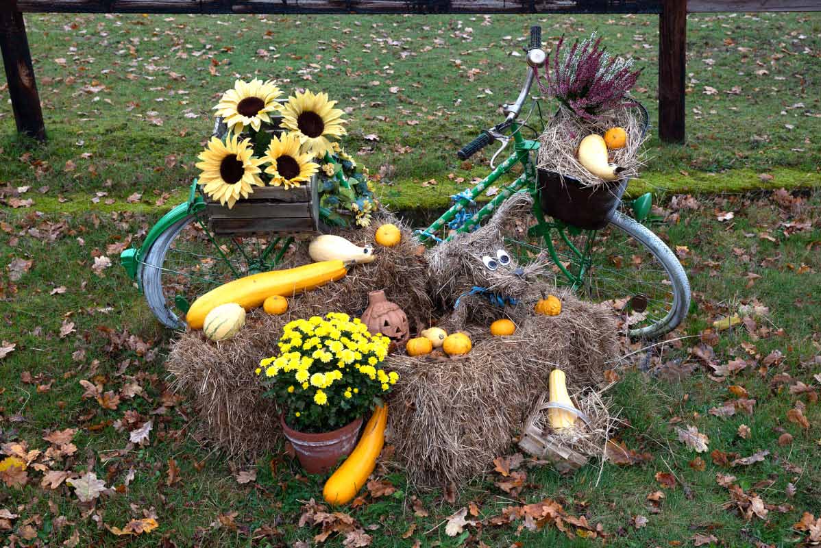 Erntedank-Fahrrad.jpg