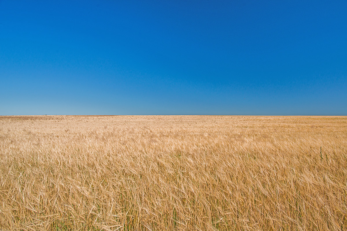 Erntewetter