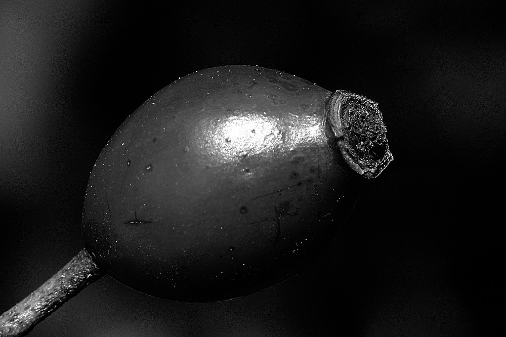 Erntezeit II