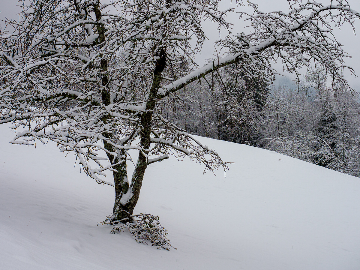 Erschwil_PA014811_12neu.jpg