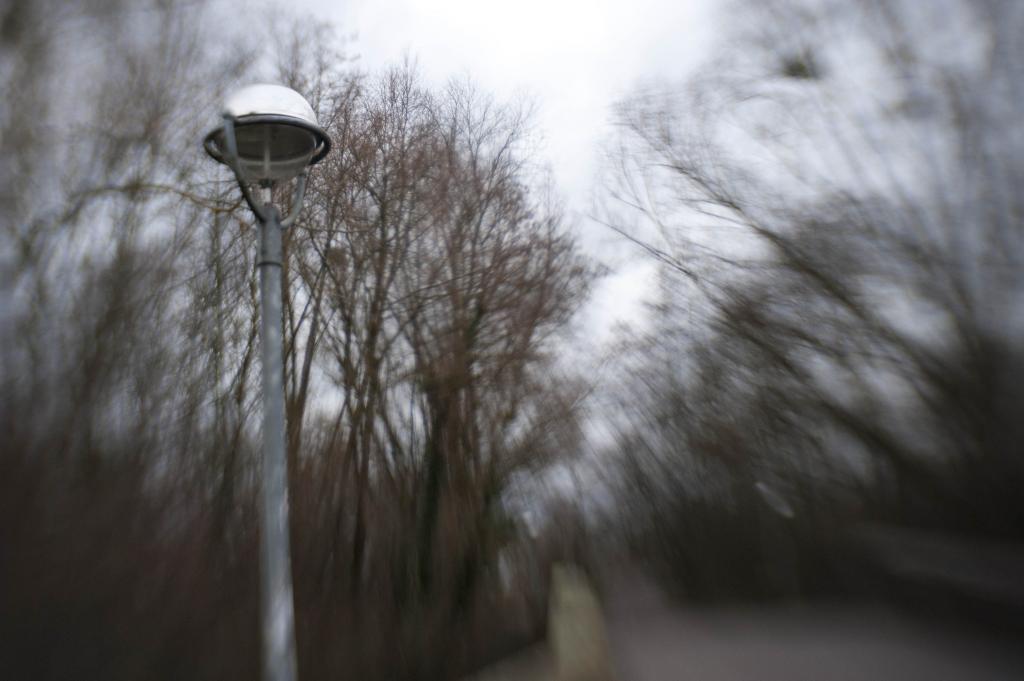 erste Versuche mit dem Lensbaby Composer Pro