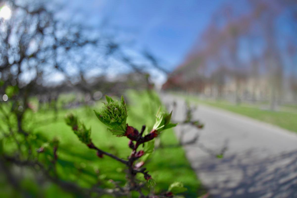 erstes Blatt