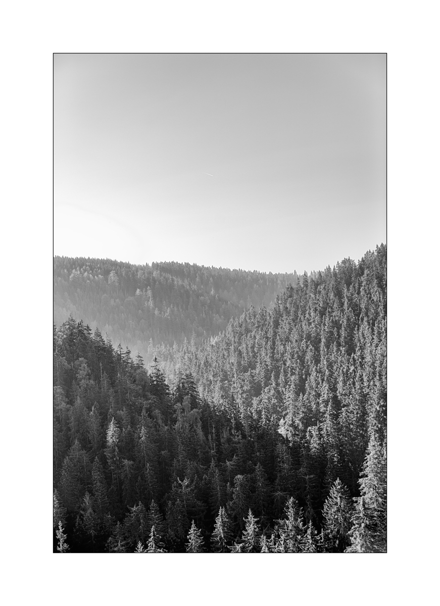 ErzDSC_0059.jpg