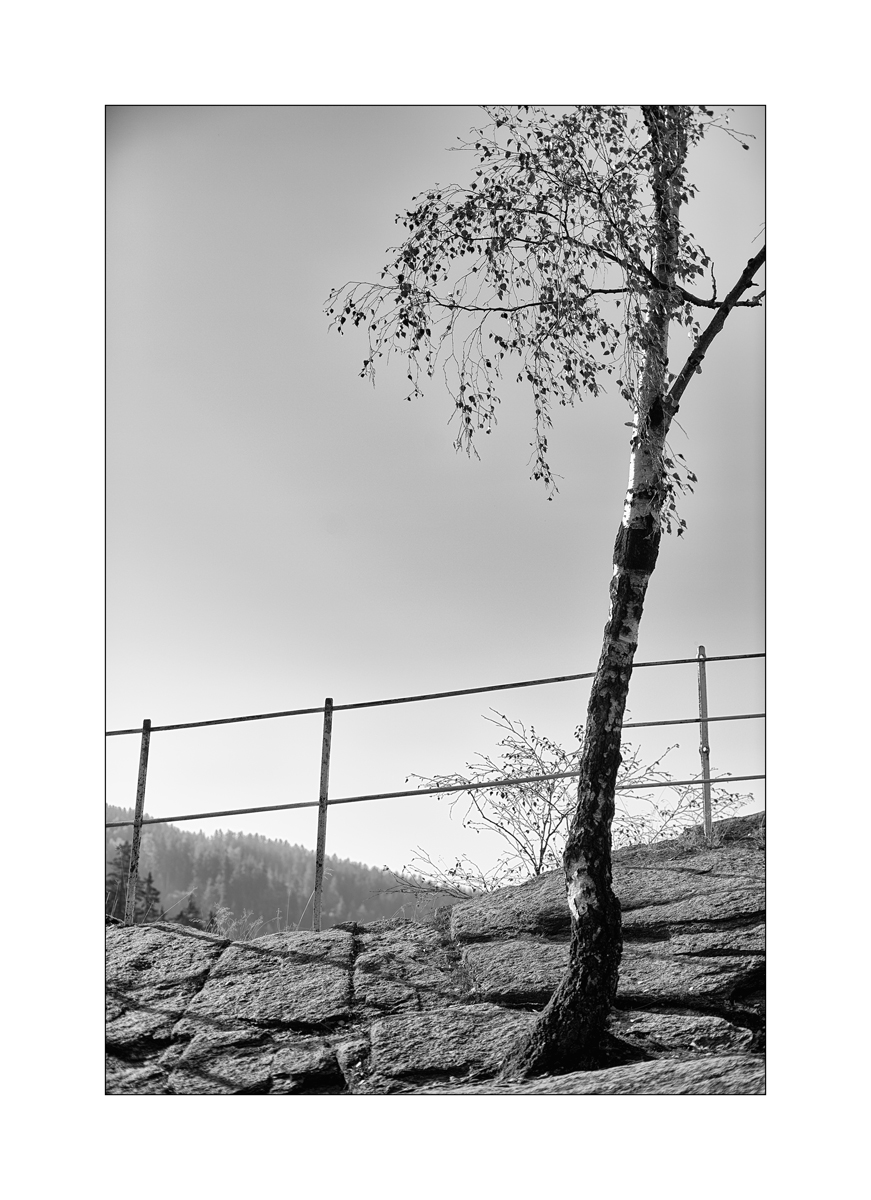ErzDSC_0076.jpg