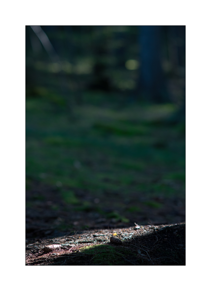 ErzDSC_1357.jpg