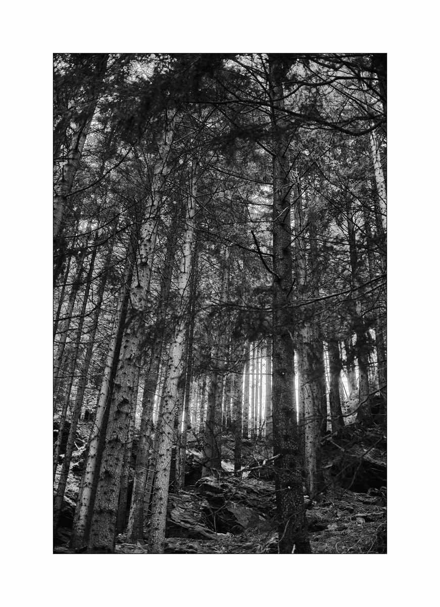ErzDSC_9964.jpg