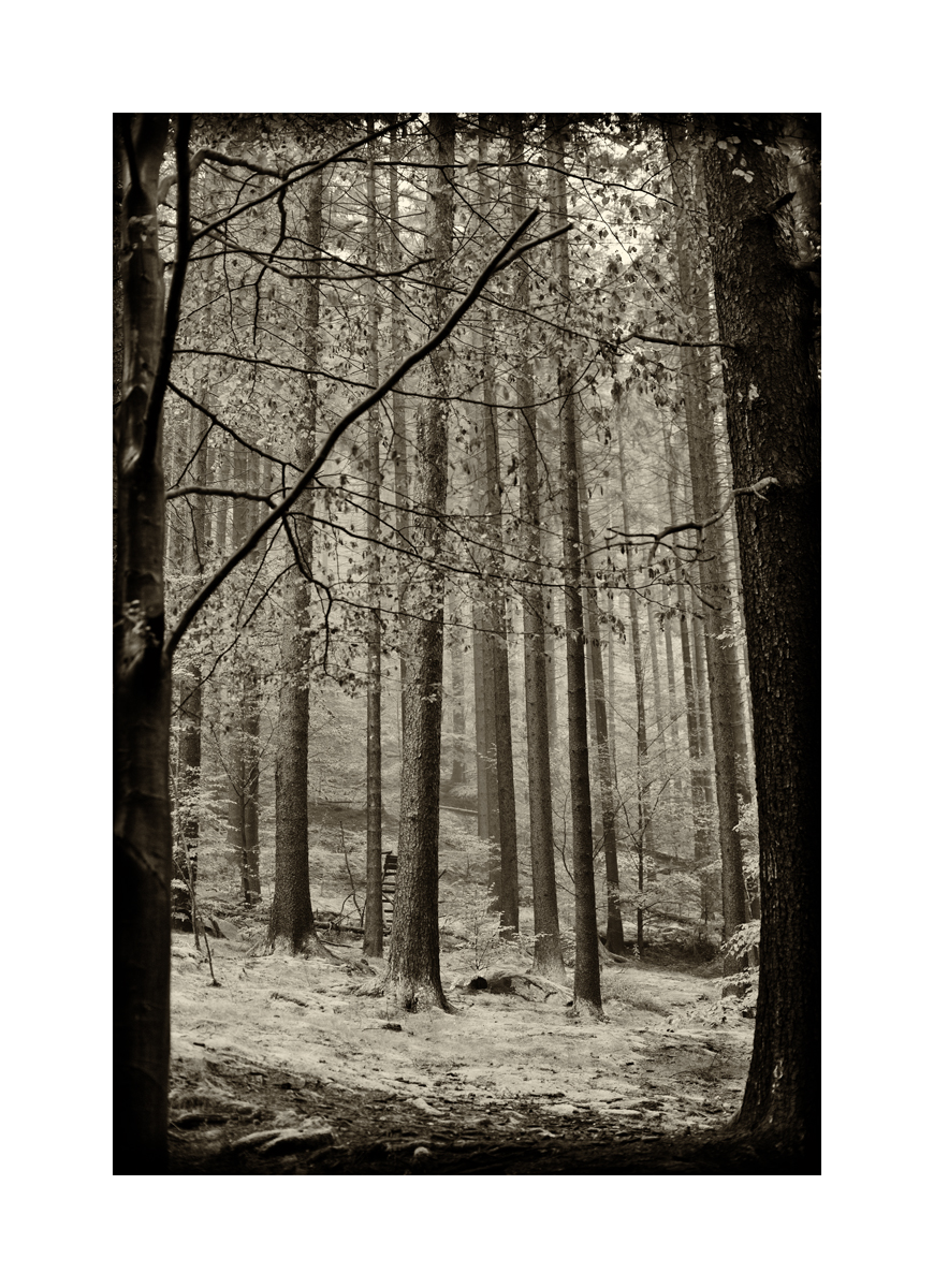 ErzDSC_9984.jpg