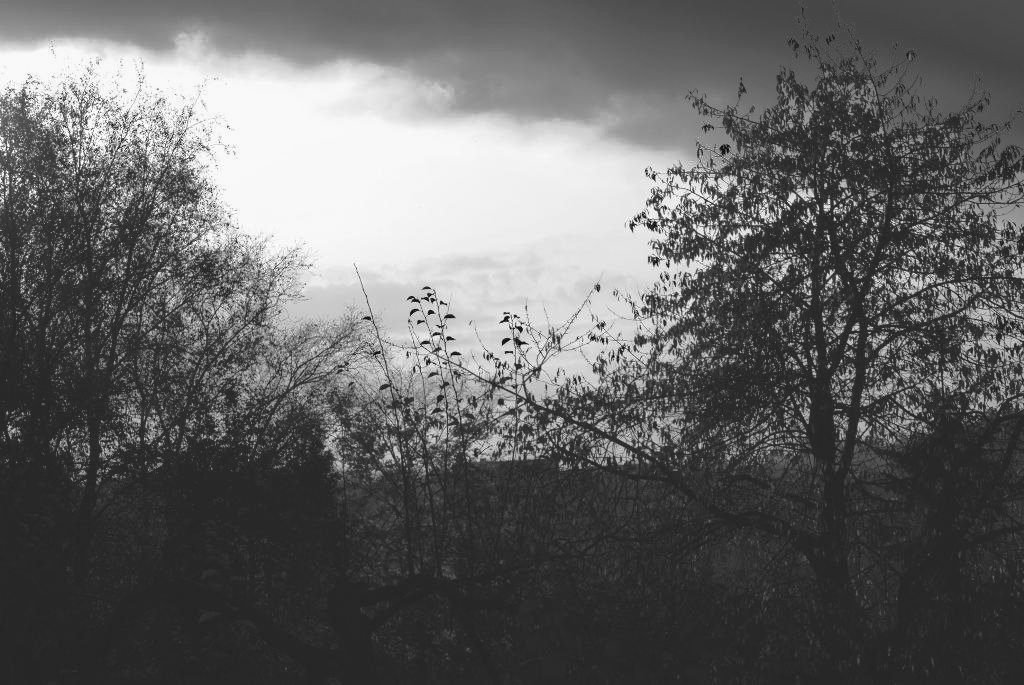 Es wird Nacht (S/W)