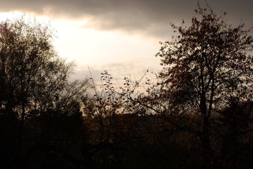 Es wird Nacht
