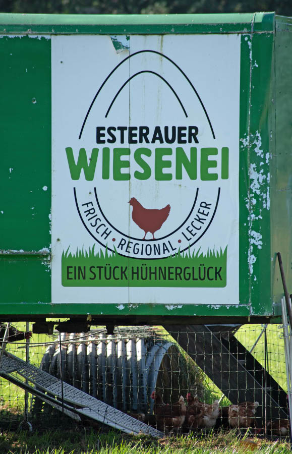 Esterauer Wiesenei.jpg