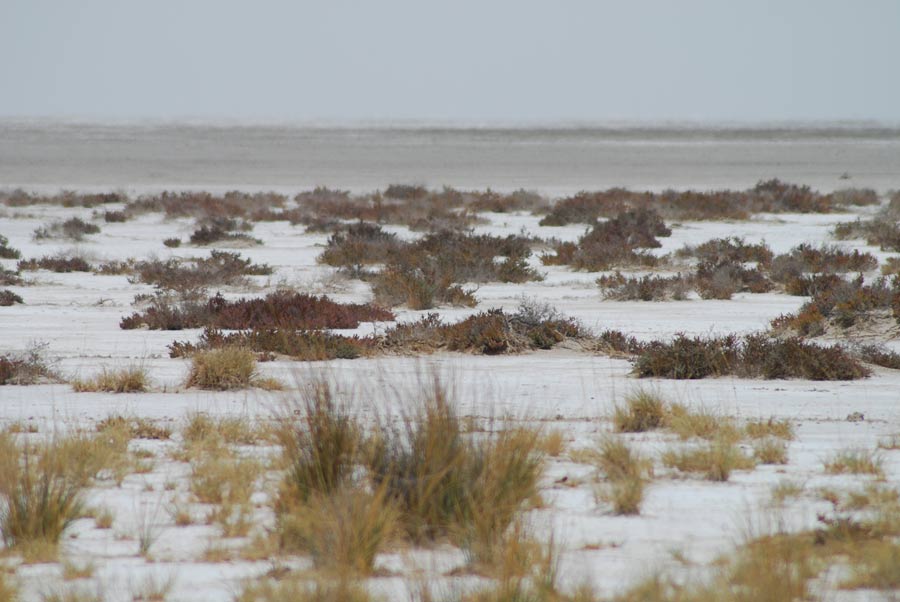 Etosha Pan