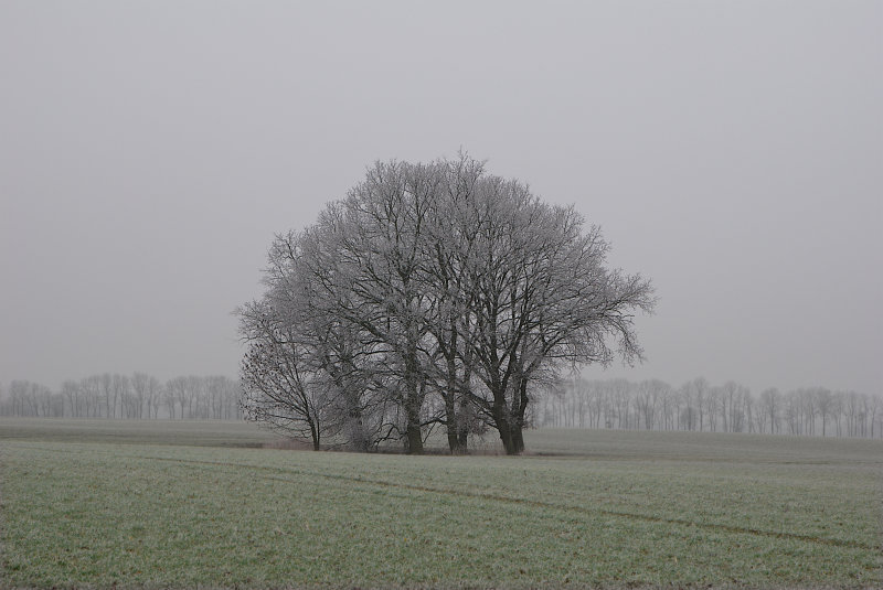 etwas Winter