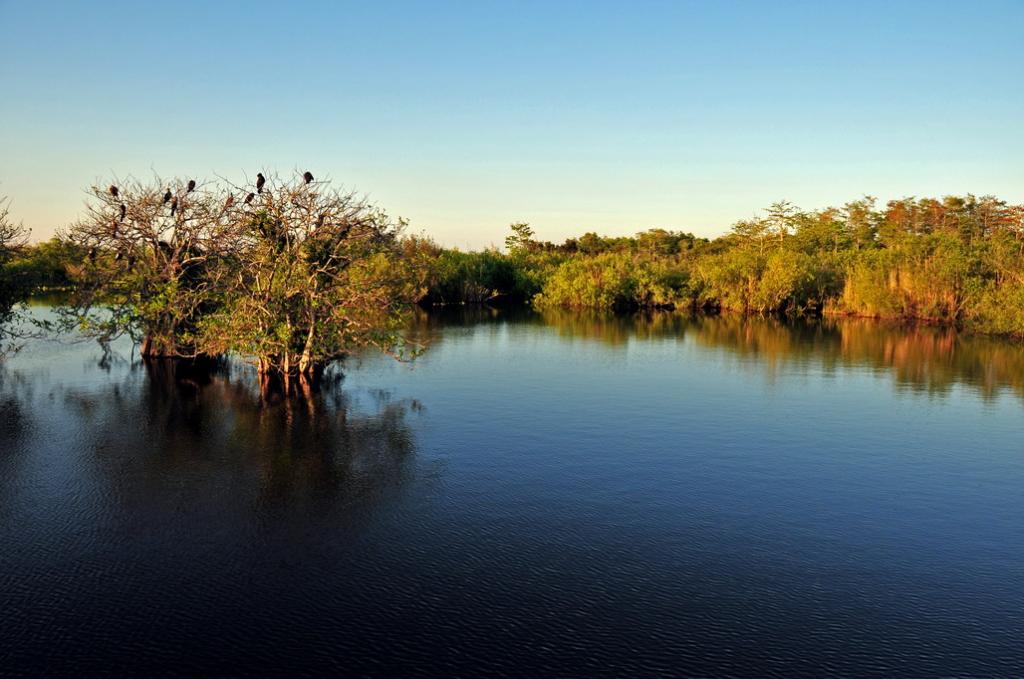 Everglades
