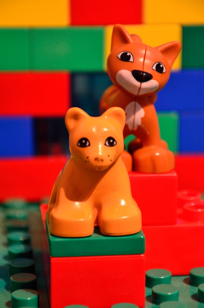 Evolution of Kitty   1024 px