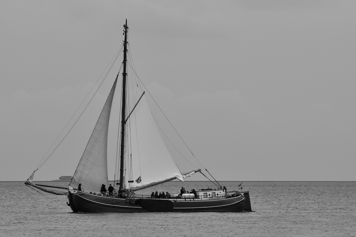 Föhr DSC0105 00001 01