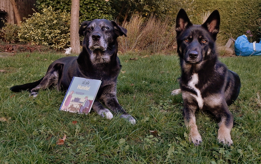 Für den Gewinn von der Uli Stein Stiftung bedanken wir uns "Wuff" herzlich - Kaya + Momo Und natürlich bei Uli für die Widmung