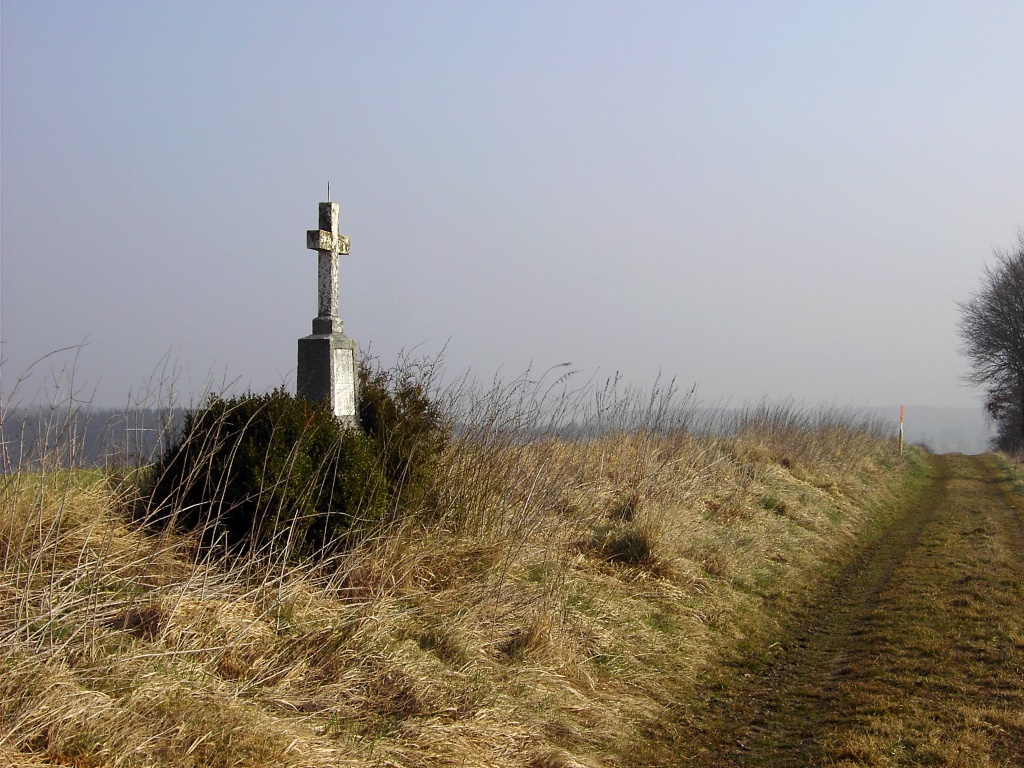 Fürbittenkreuz am Ackerrand bei Witzighofen