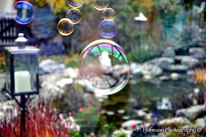 F. Hofmann Photography