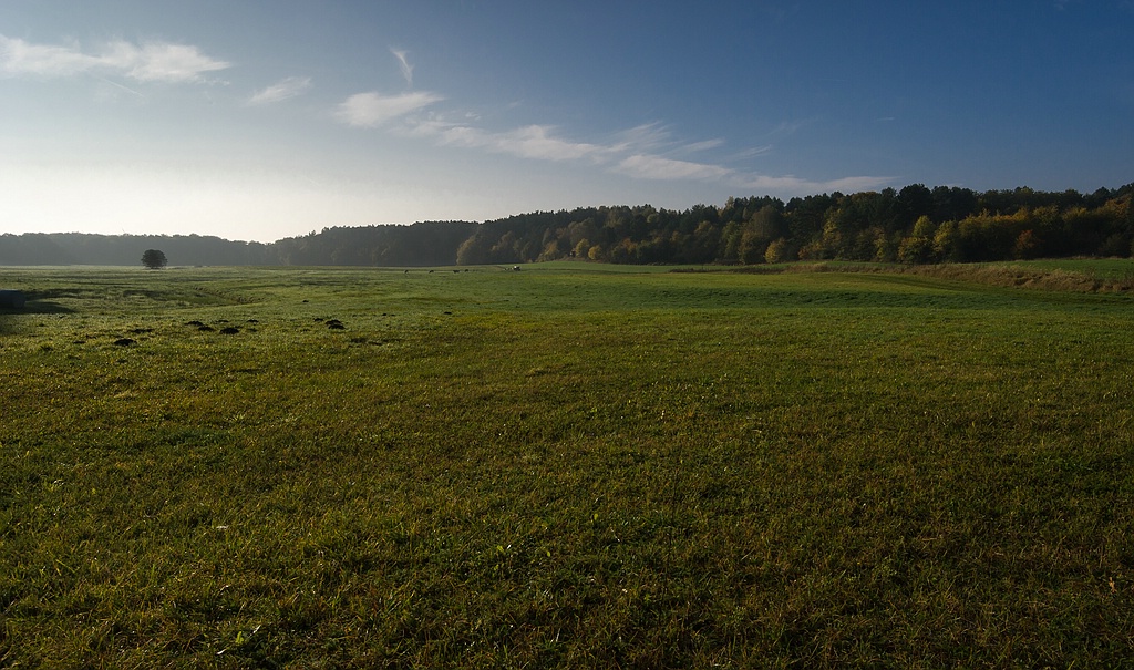 F004917c