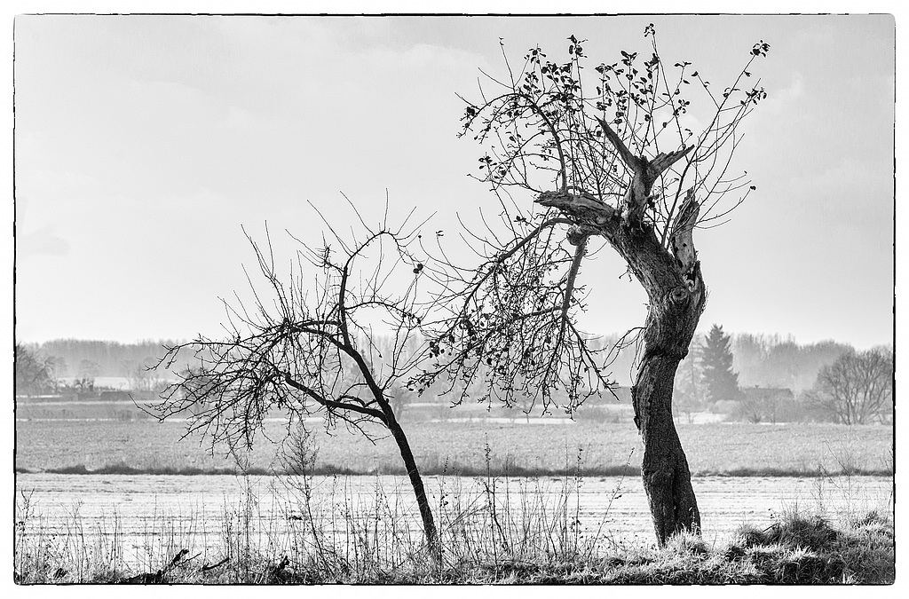 F005320c