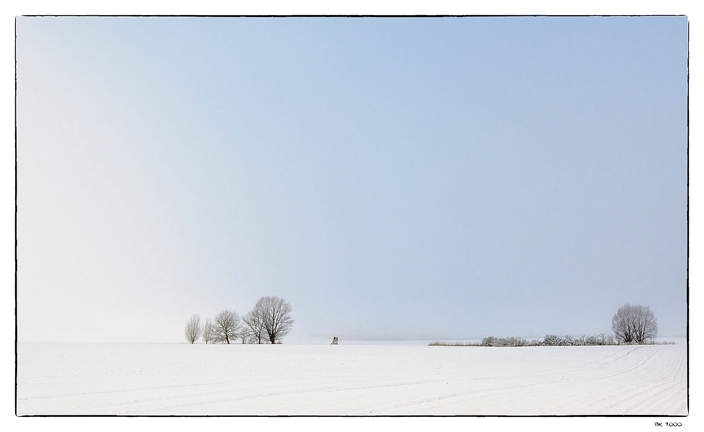 F005631c