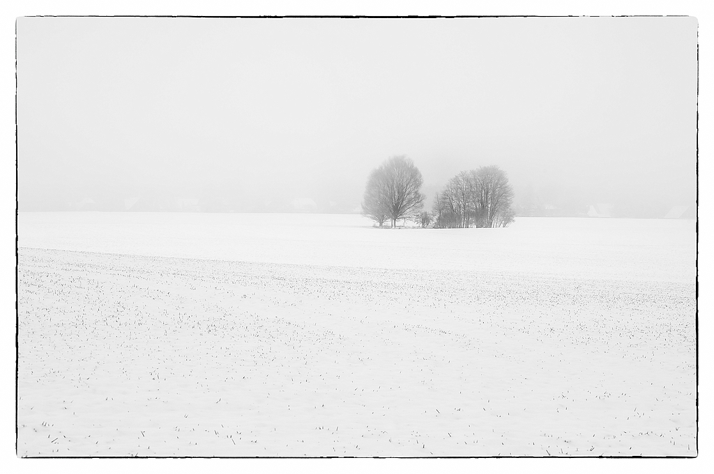 F005637c