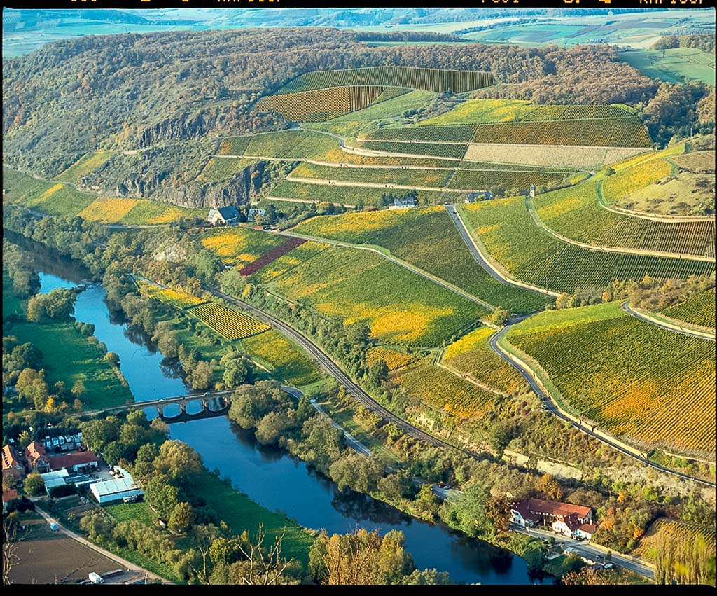 F4 Blick a.d.herbstl.Weinb